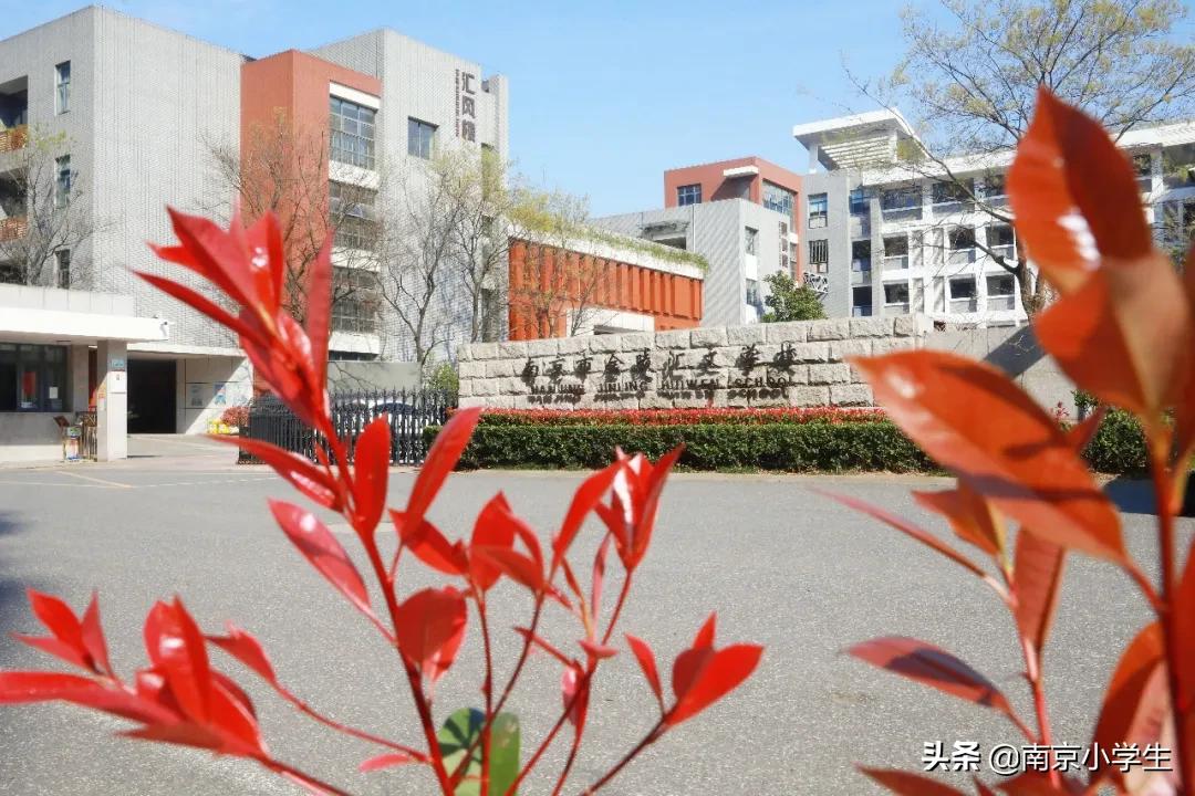 南京十所小学排名,南京10大民办中学