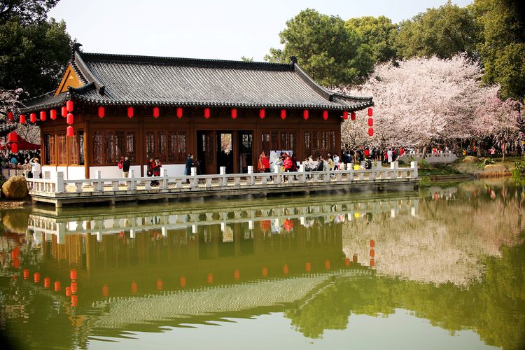 鑻遍泟褰掓潵妯辫姳鏈夌害,妯辫姳鐩涘紑鑻遍泟褰掓潵瀹屾暣瑙嗛