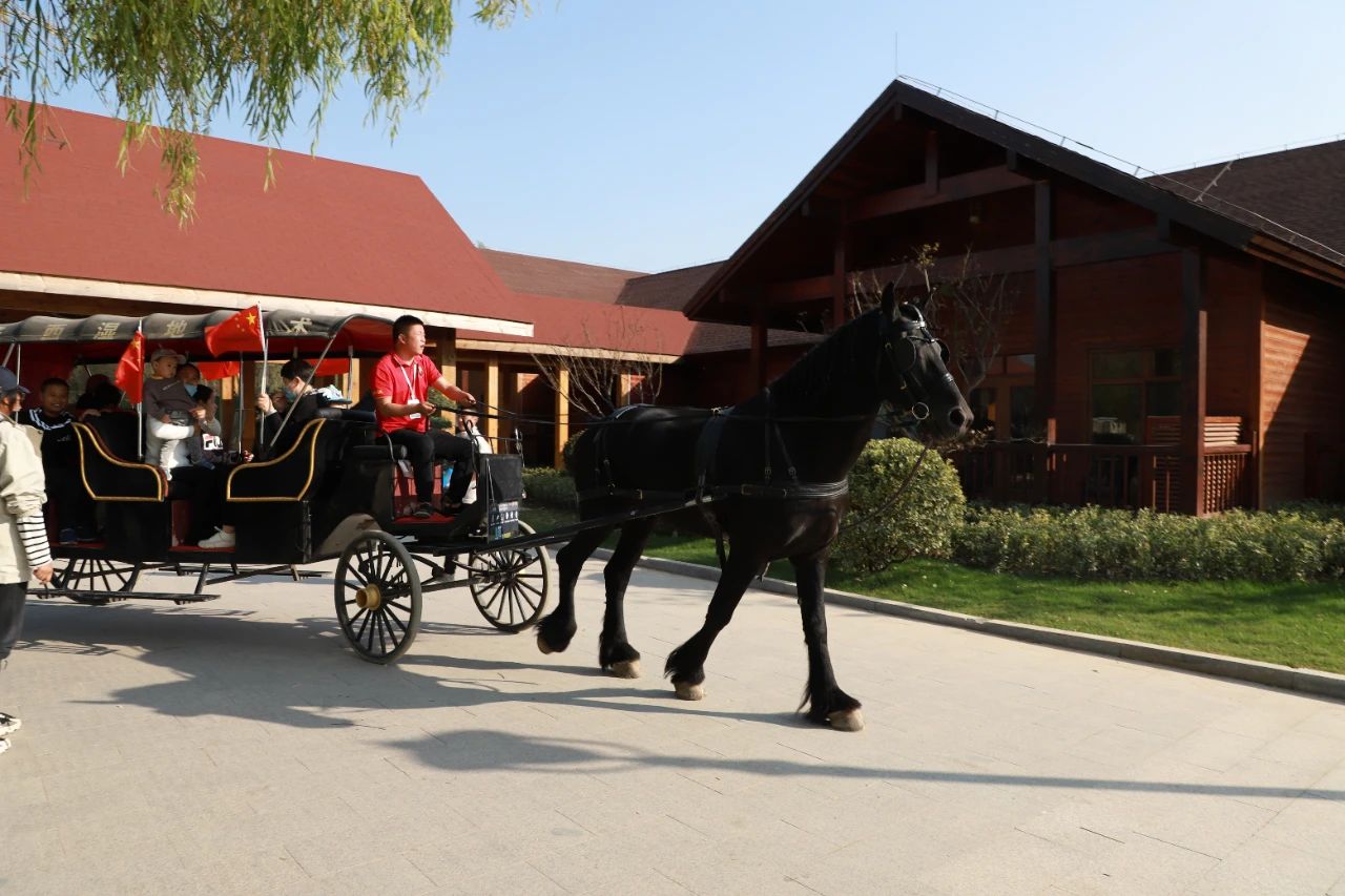 山东王屋湖国家湿地公园,山东最美湿地公园