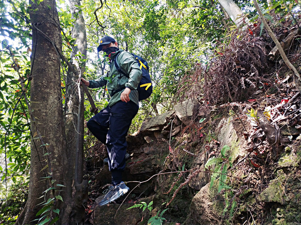 再次刷新了我的认知,再次刷新我对世界的认知