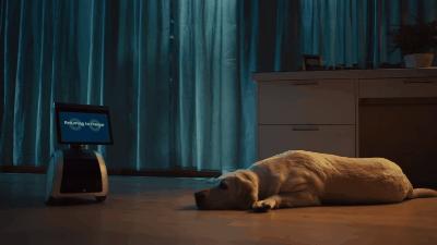 亚马逊人工智能管家,亚马逊智能机器人管家