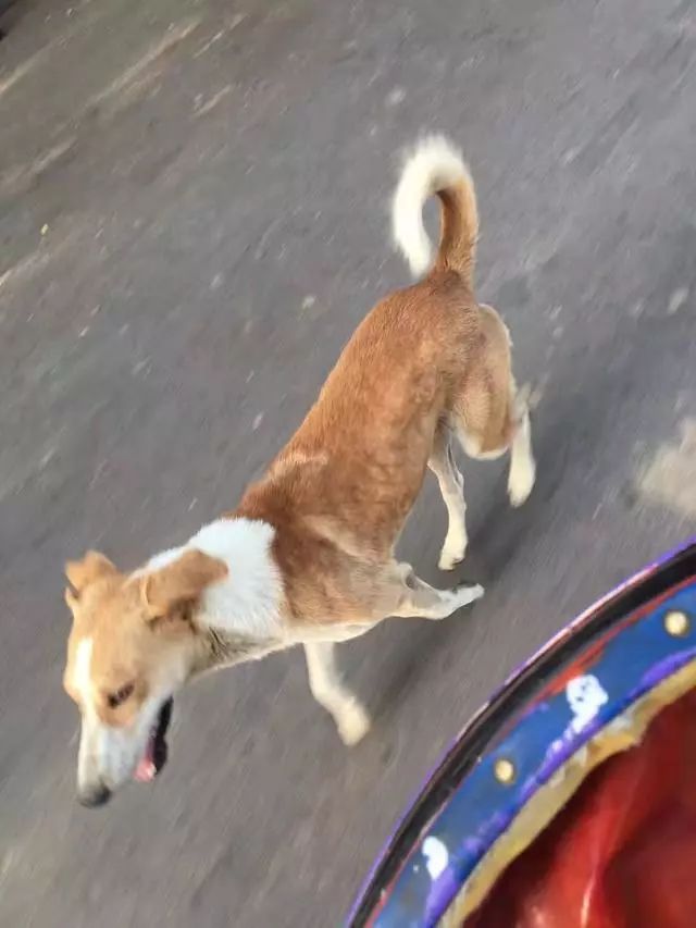 我走过最长的路就是别人的套路,我走过最长的路就是你的套路了