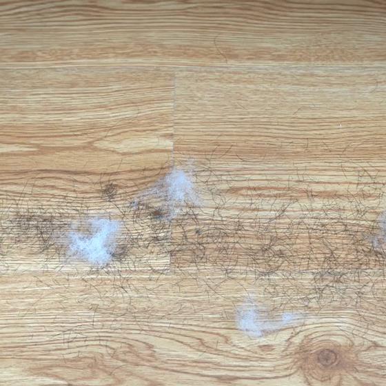 家里扫地有毛絮怎么清洁,天天扫地