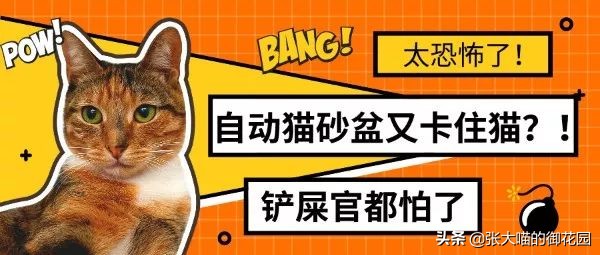 自动猫砂盆把猫卡死,自动猫砂盆把猫夹死了