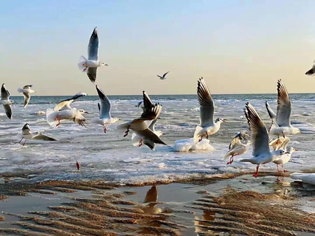 溯乡源、忆乡景、述乡俗，带你走进不一样的家乡秦皇岛