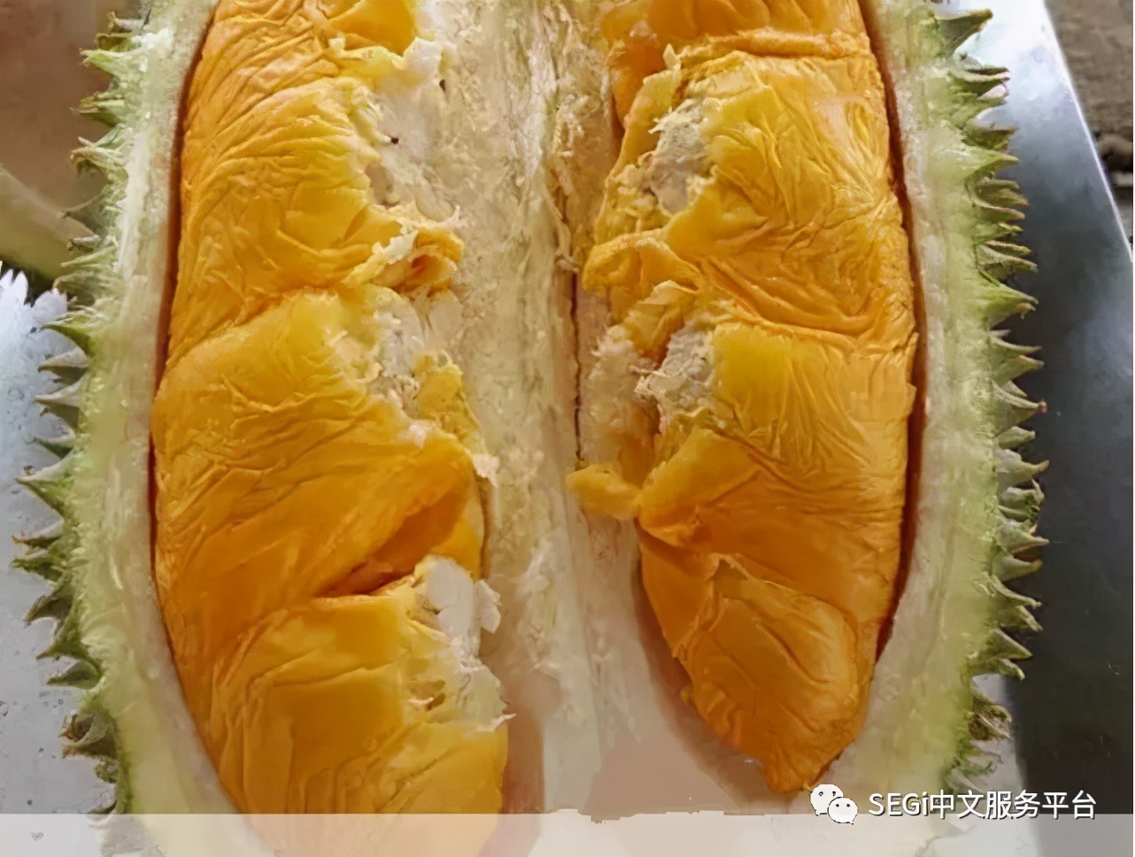 马来西亚的榴莲有啥品种,马来西亚榴莲有几种