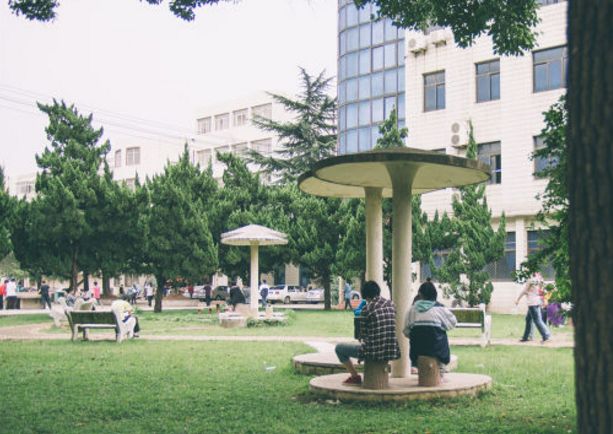 武汉32所重点小学大pk,武汉市十大美丽中学