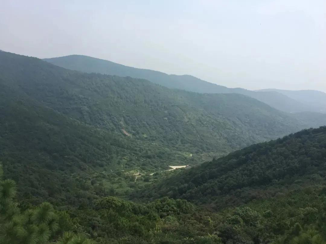 苏州西山农家乐旅游网官网,苏州西山农家乐民宿游