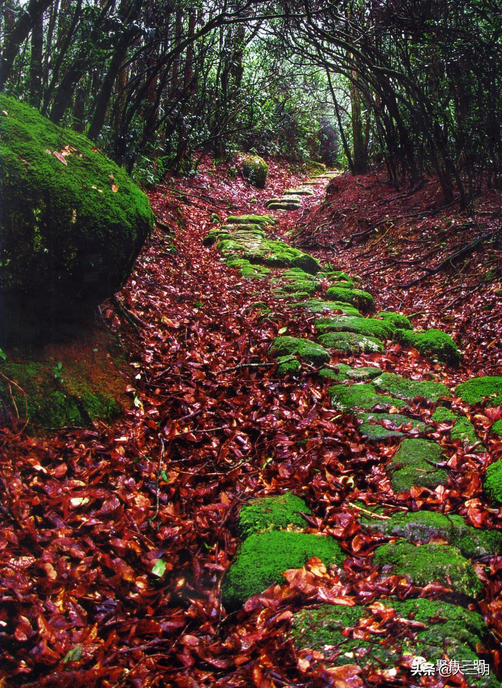 中国最美三明旅游线路,中国绿都泰宁最氧三明