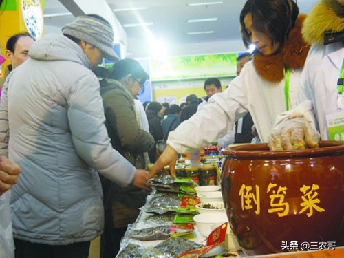 适合农民做的小生意有哪些,适合农民在家做的副业项目是什么