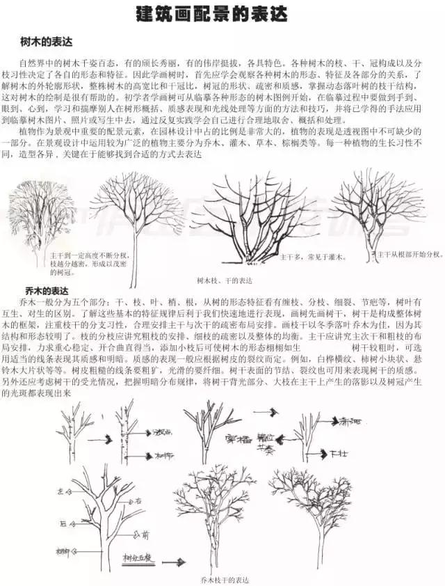 画画入门教程动漫人物0基础手绘,手绘基础入门教程手绘图片