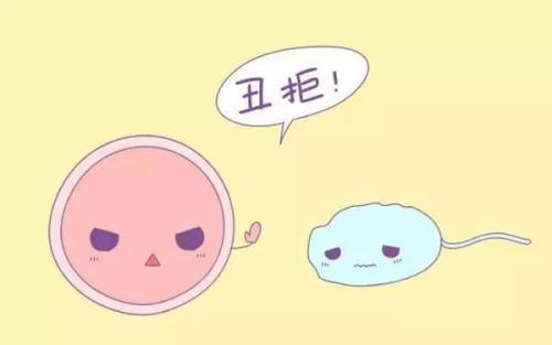 没受孕的小蝌蚪,未和卵细胞结合的精子去哪了