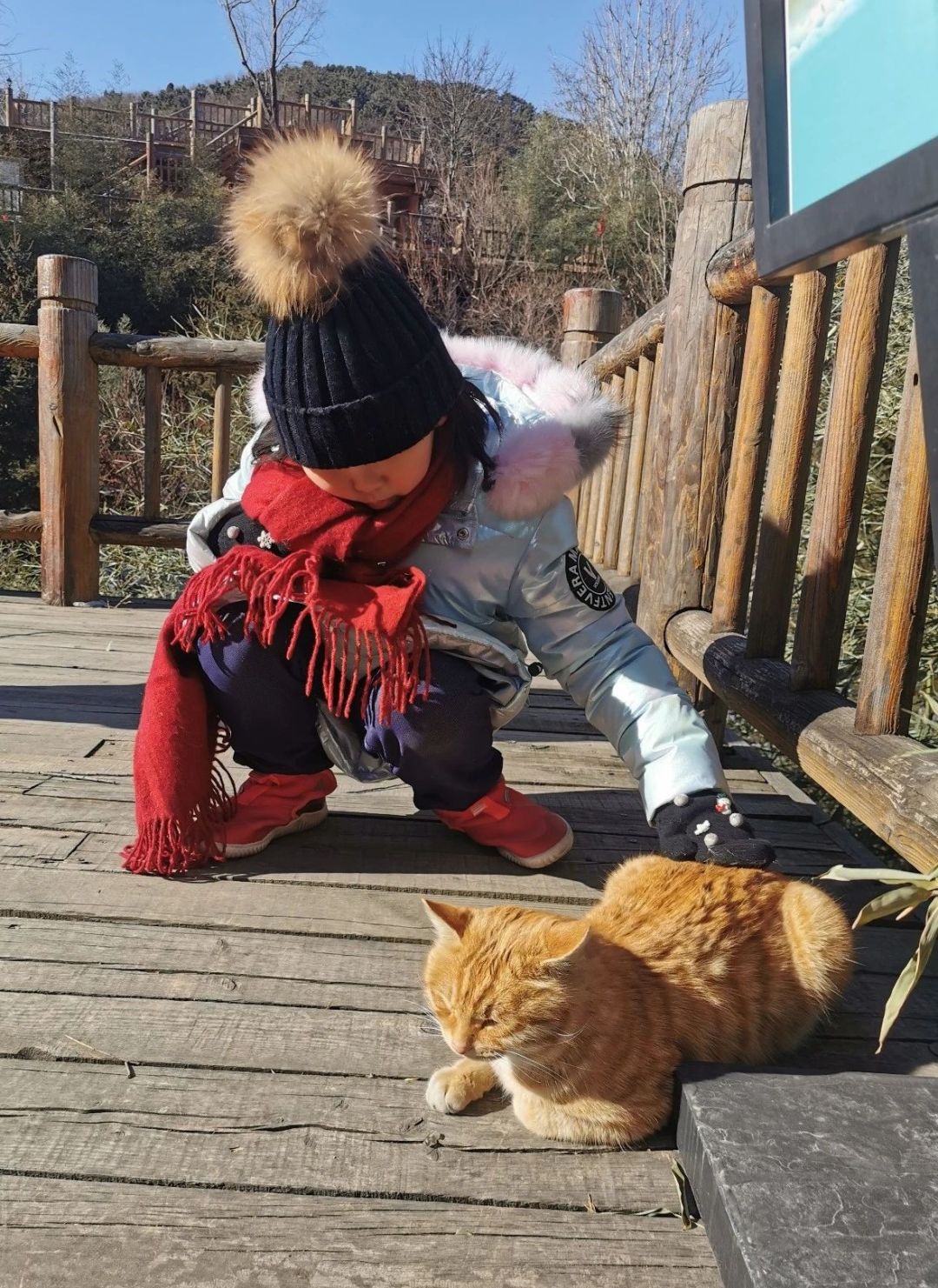 九如山什么季节去最好,秋游九如山旅游攻略