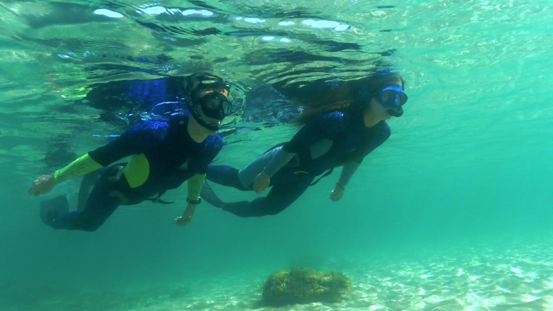 自由潜水水底的美,自由潜水和水肺哪个学的快