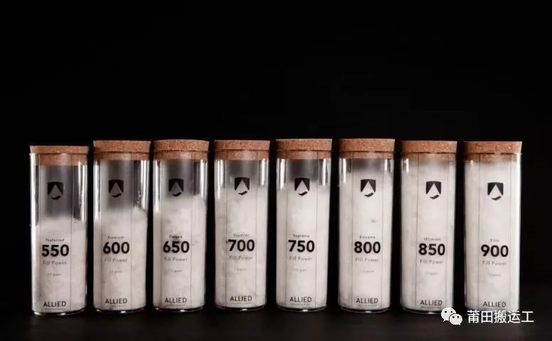 迷彩加拿大鹅多少钱一件,真正的加拿大鹅怎么样