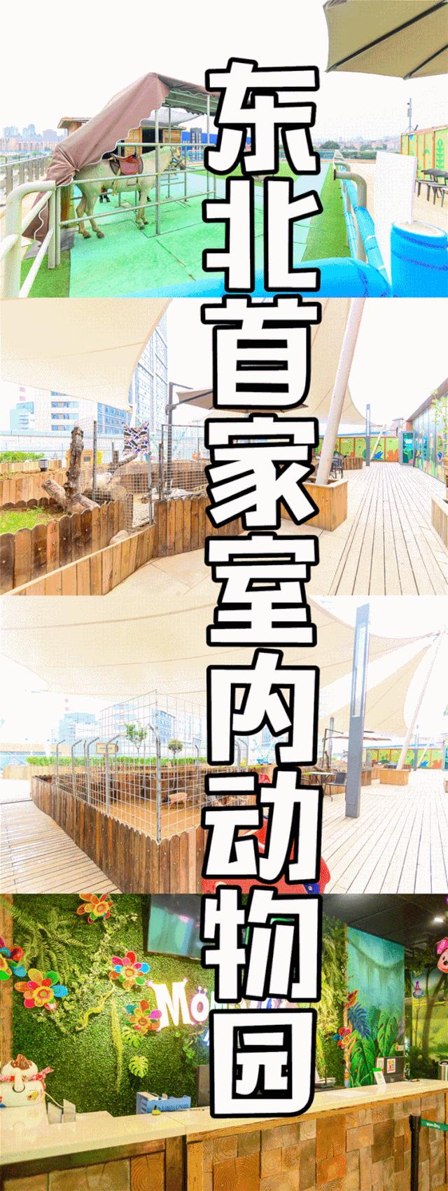 大连么么哒动物园 (大连小众动物园)