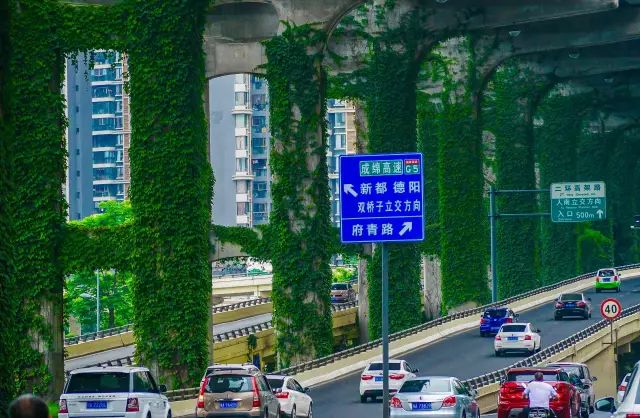 成都二环绿化,成都二环绿植视频