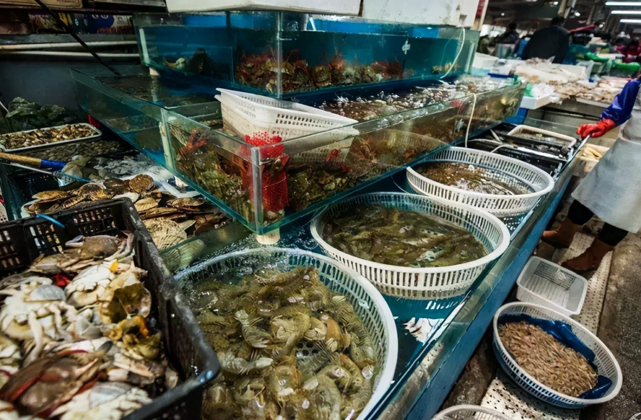 海鲜市场猫腻多购买海鲜需谨慎,买海鲜应该这样买才不会上当