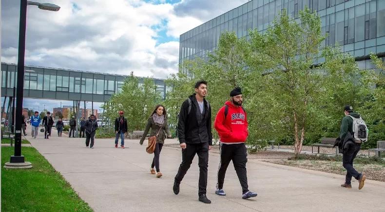 加拿大本科留学项目，雅思6.5，会考均分75以上