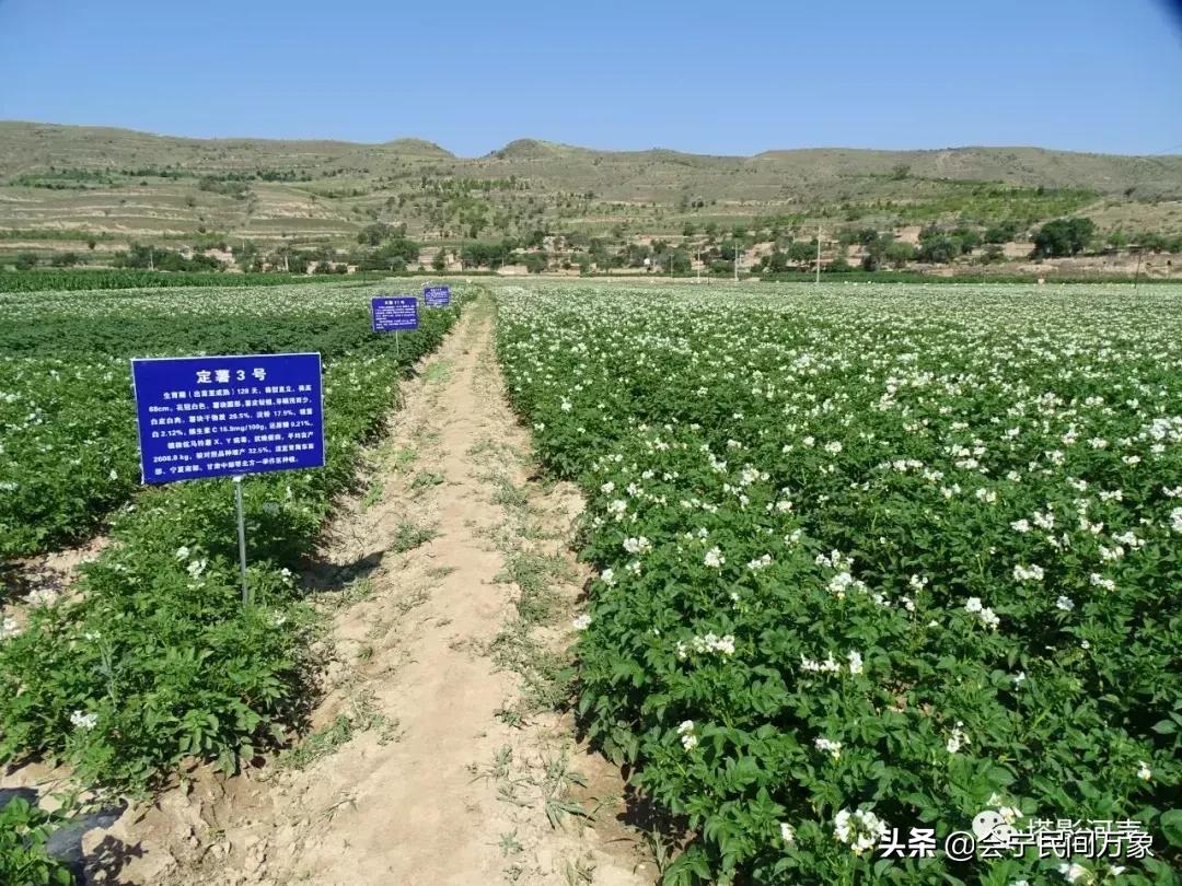 喜见斯人真福气，得和红玉缔良缘