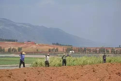 喝红糖驱寒,寒气重喝红糖姜水可以好吗