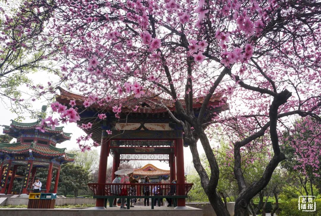 洛阳第三职专,洛阳第三季度gdp