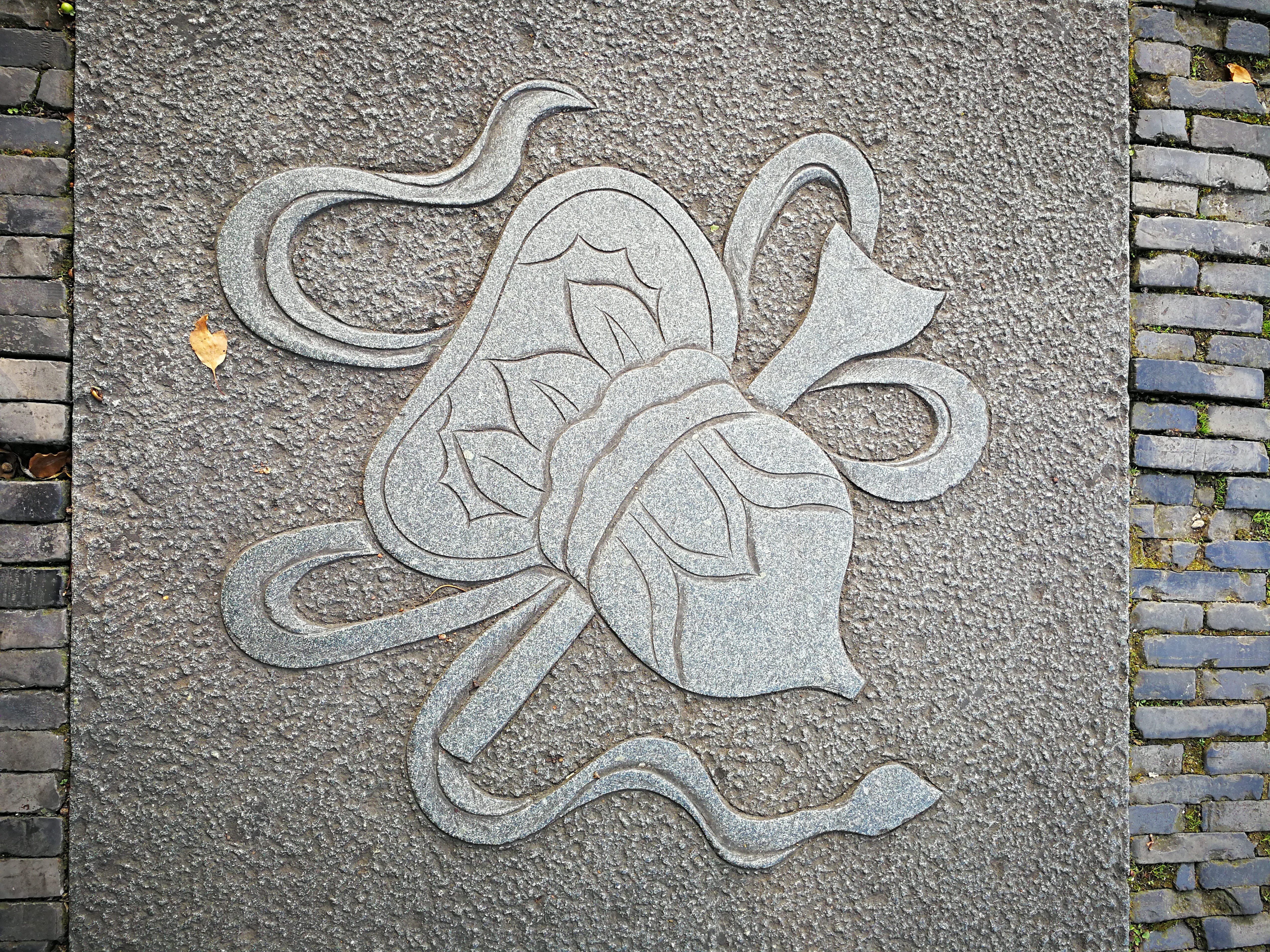 大学教学创新之“本科生发微文”（三）：你的六大收获