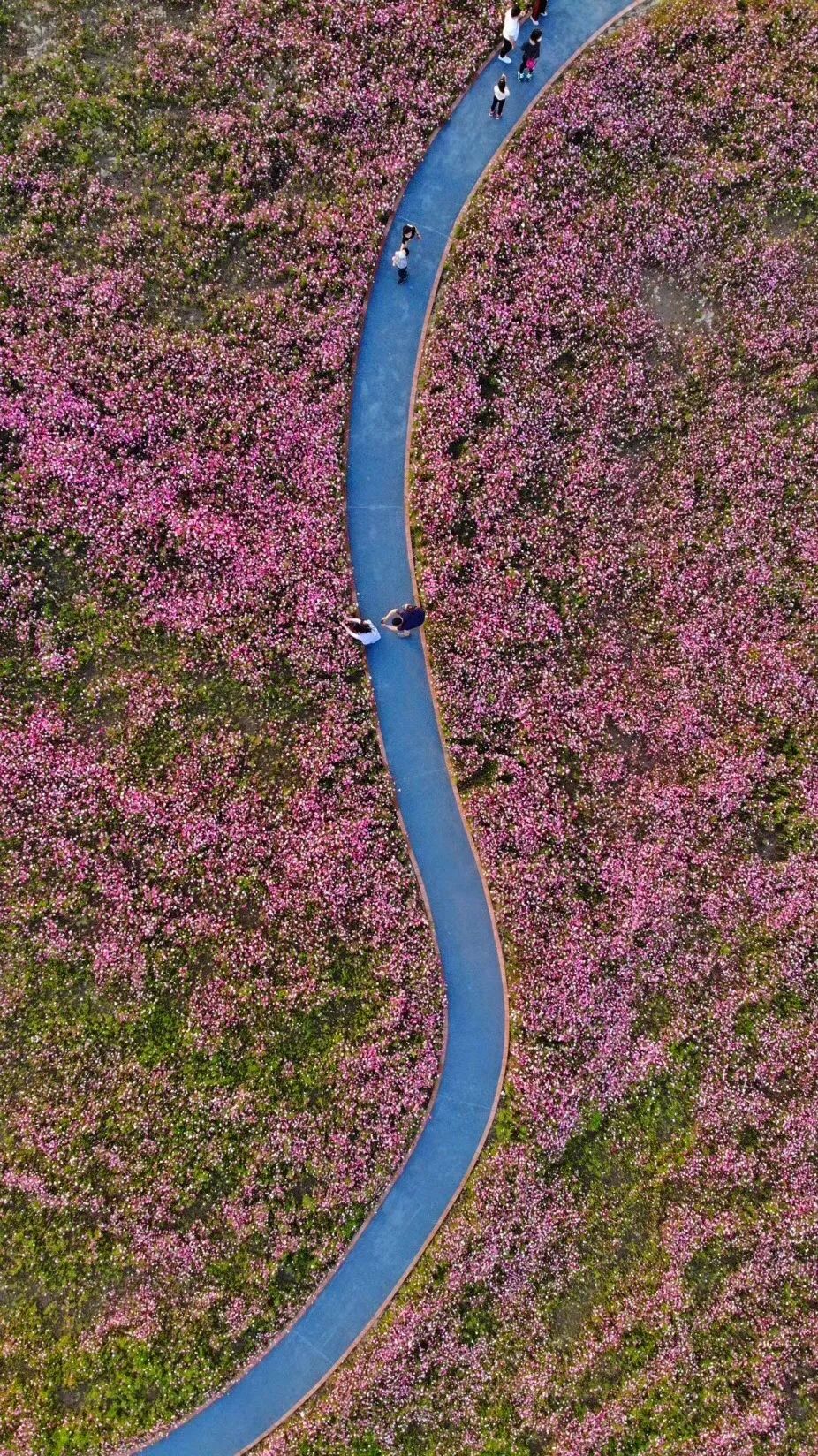 未来的杭州西湖,浙江杭州新西湖