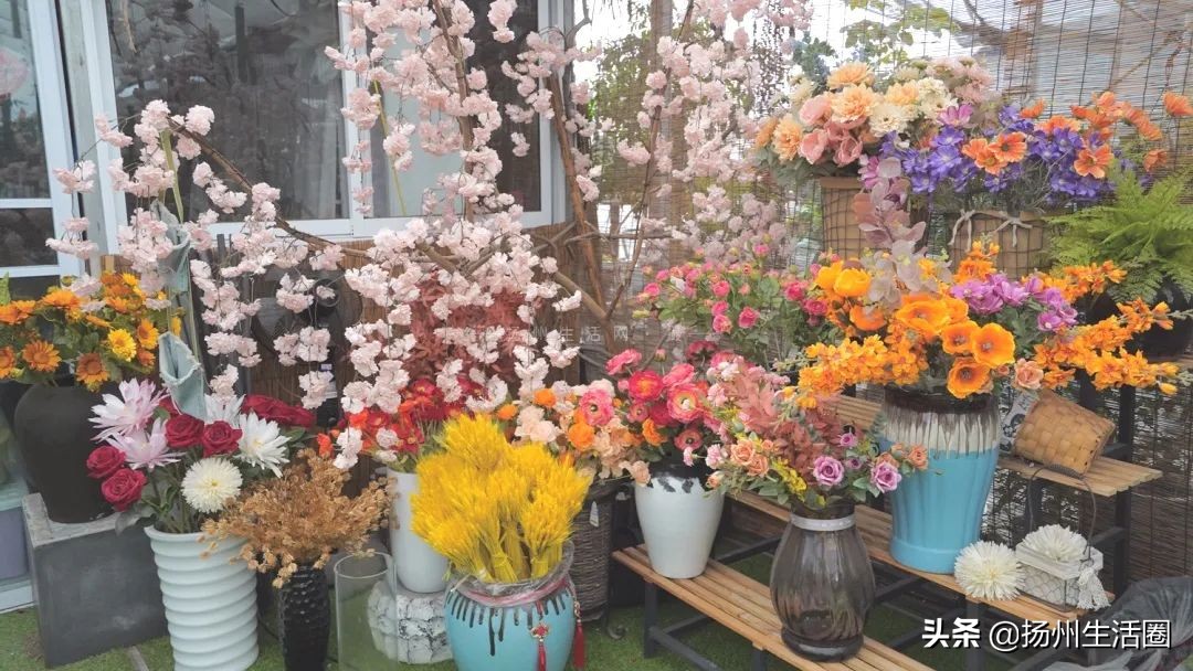 扬州花卉市场大全,扬州西区花卉市场