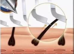 吉列剃须刀五刀头多少钱,吉列剃须刀5层刀架多少钱