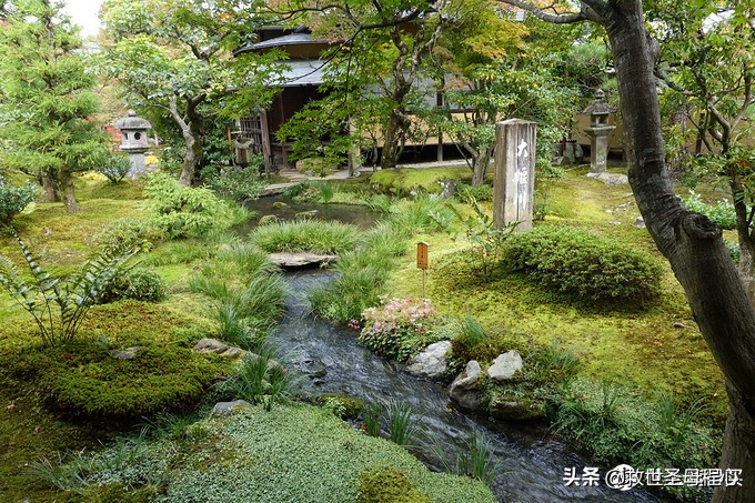 日本旅游工资流水单什么样,日本流水账式旅行