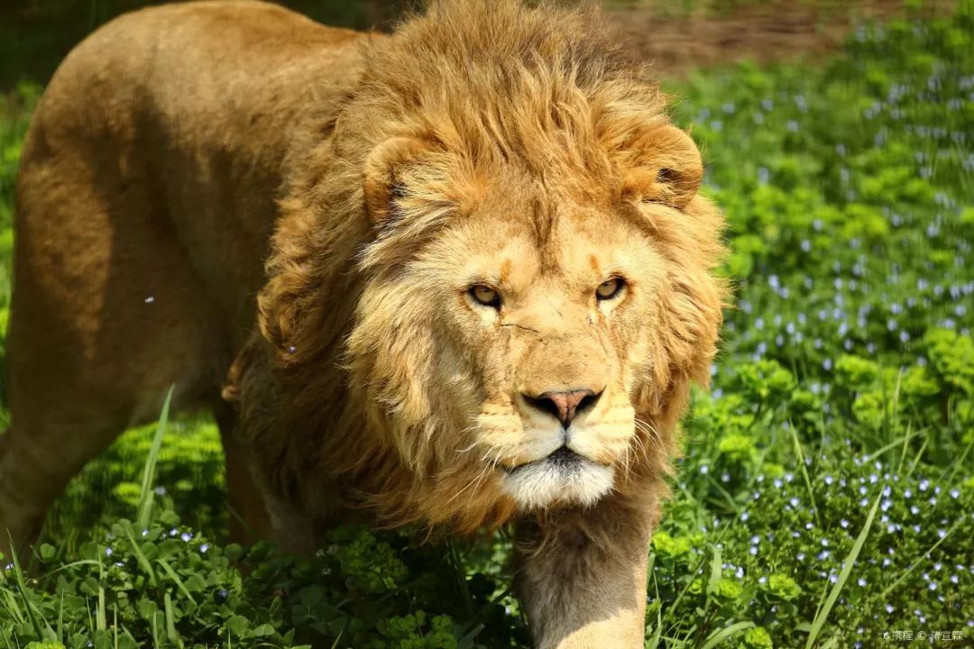 游玩半价票,雁荡山周末半价票