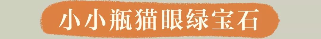 奈雪猫猫杯,奈雪猫杯