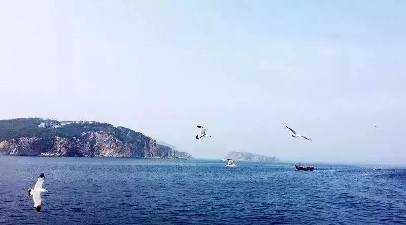 重庆旅游6天5晚团购价含往返机票,重庆出发1000元4天3晚的旅行