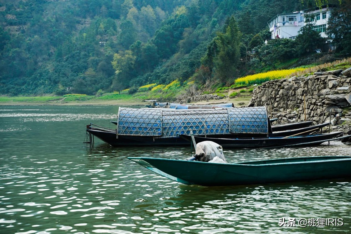 歙县特产卖什么比较好,安徽歙县哪里卖土特产