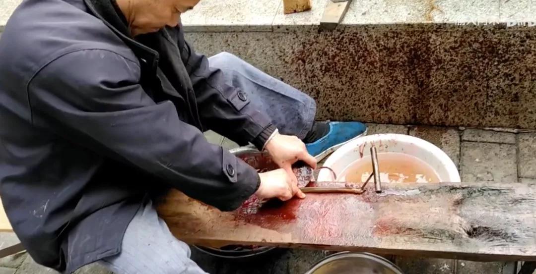 黄鳝，淡水水族中的小角色，凭什么成了直播时代的网红