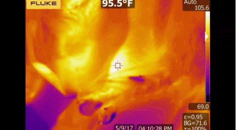 猫咪夏季好物推荐平价,猫咪防抓好物推荐