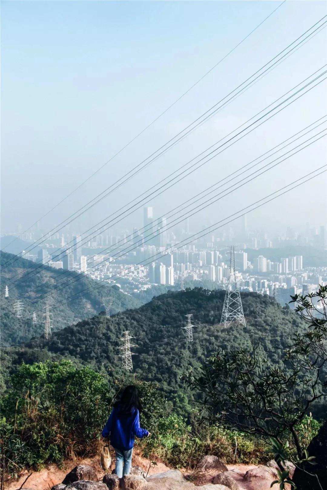 深圳原始登山道视频,深圳首个手工木栈道