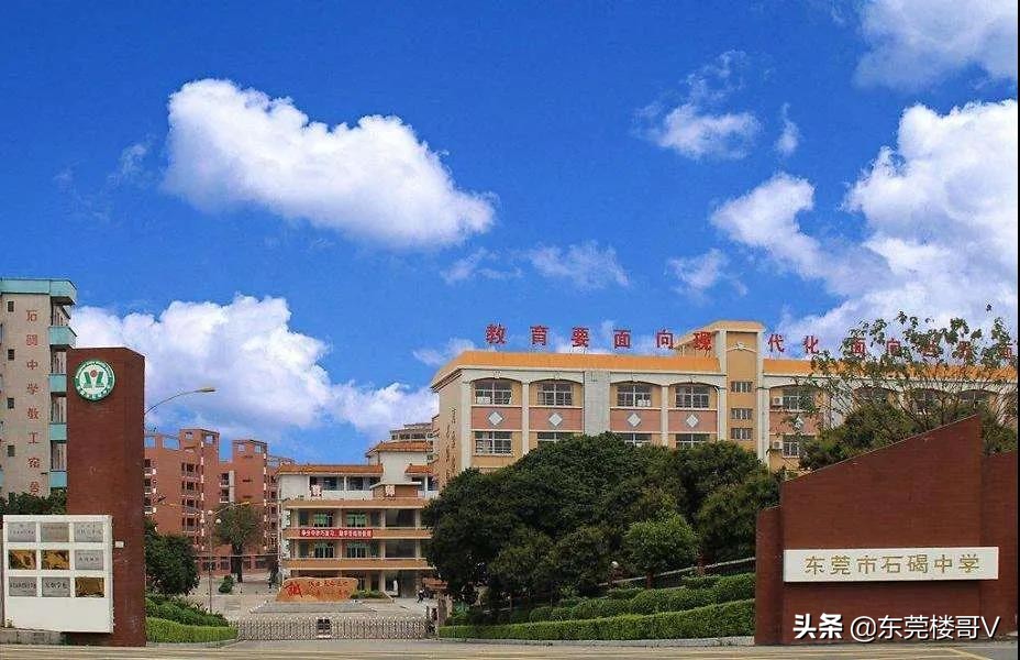 涓床閲岀▼鑺卞洯鐭崇ⅲ涓轰粈涔堝崟浠蜂綆,妤煎摜