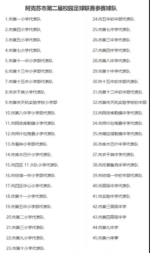 阿克苏市自治区足球比赛,阿克苏市第二届校园足球联赛