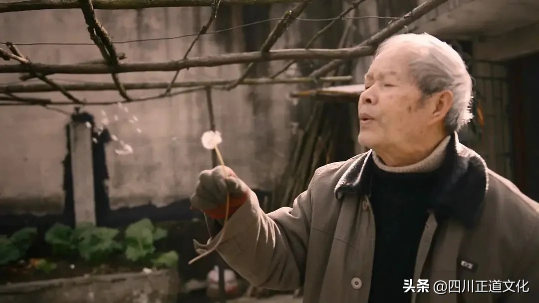 值得看的电影春天,春天的电影名字