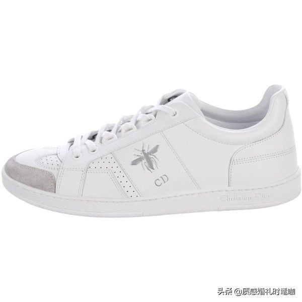 蝗虫算是物种入侵吗,蝗虫是圣甲虫吗