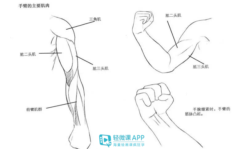 基础漫画人物画法教程,漫画人物画法教程初学简单又好看