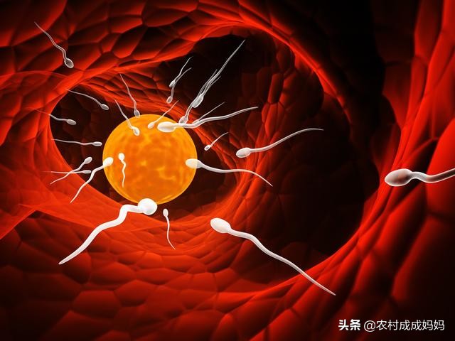 打败2亿个竞争者,战胜上亿竞争对手来到这个世界