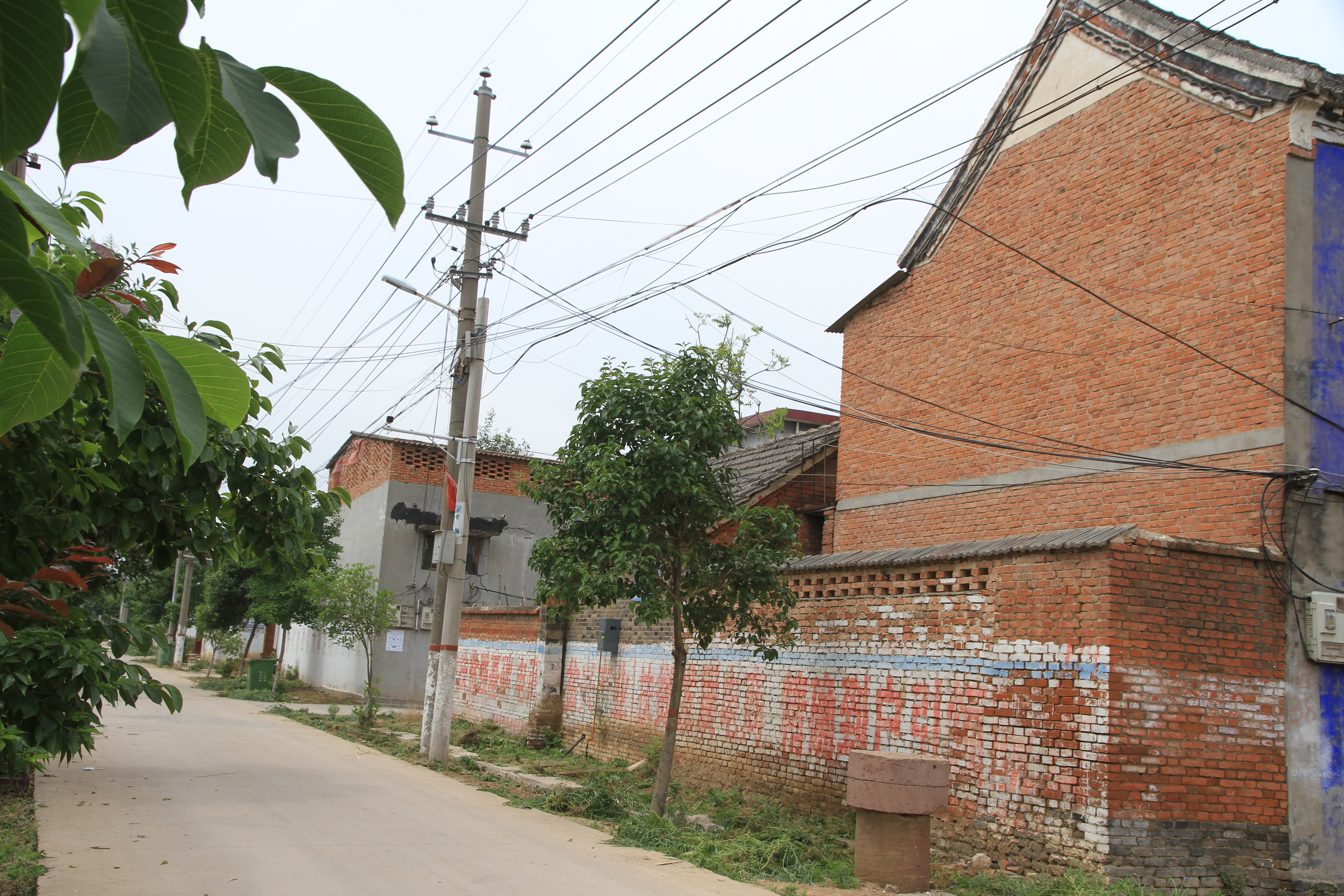 走进一百个美丽乡村第九站,走进100个美丽乡村东屯乡