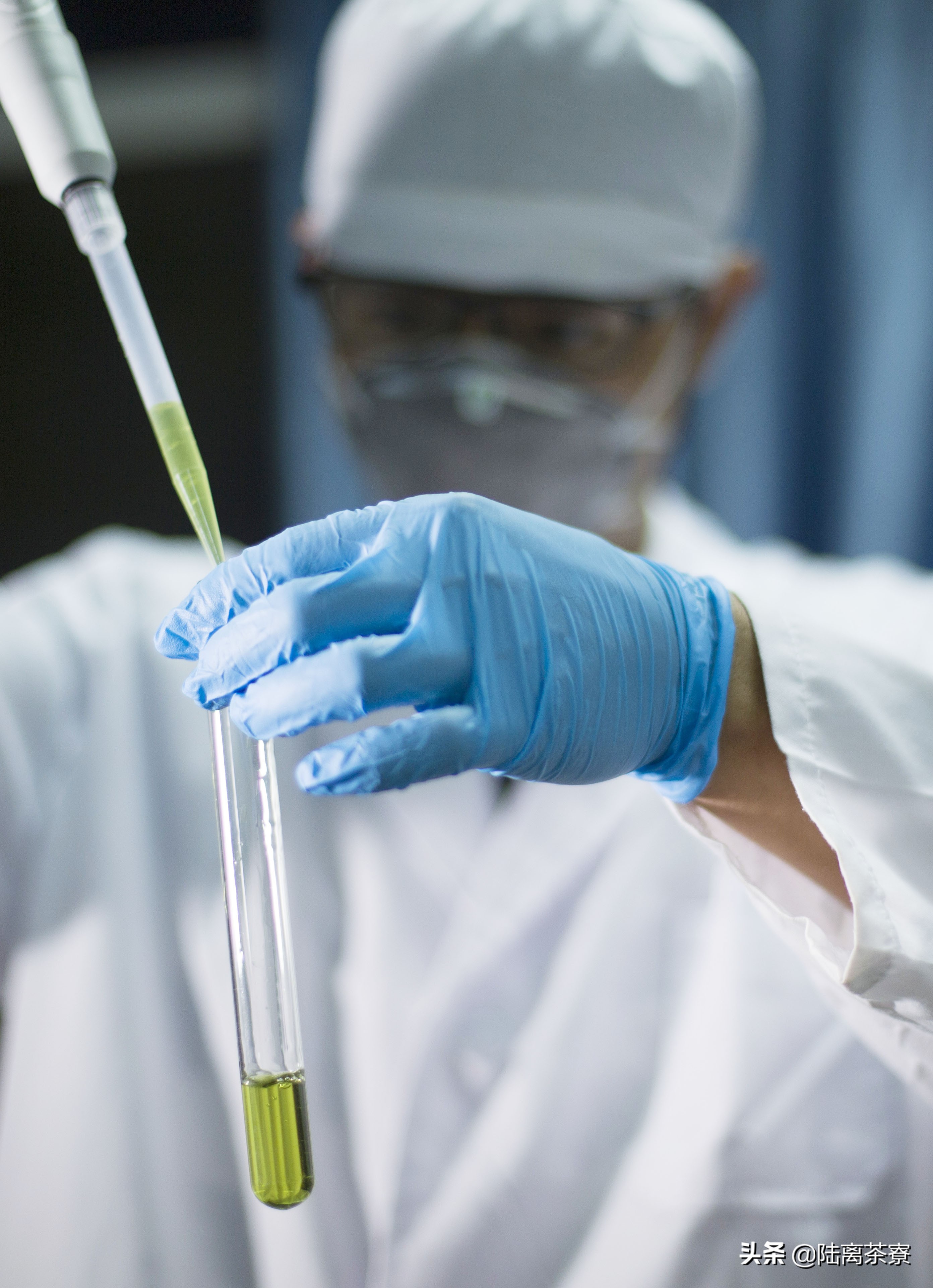 普洱茶熟茶检查出好多细菌,变质的普洱熟茶喝了会怎样