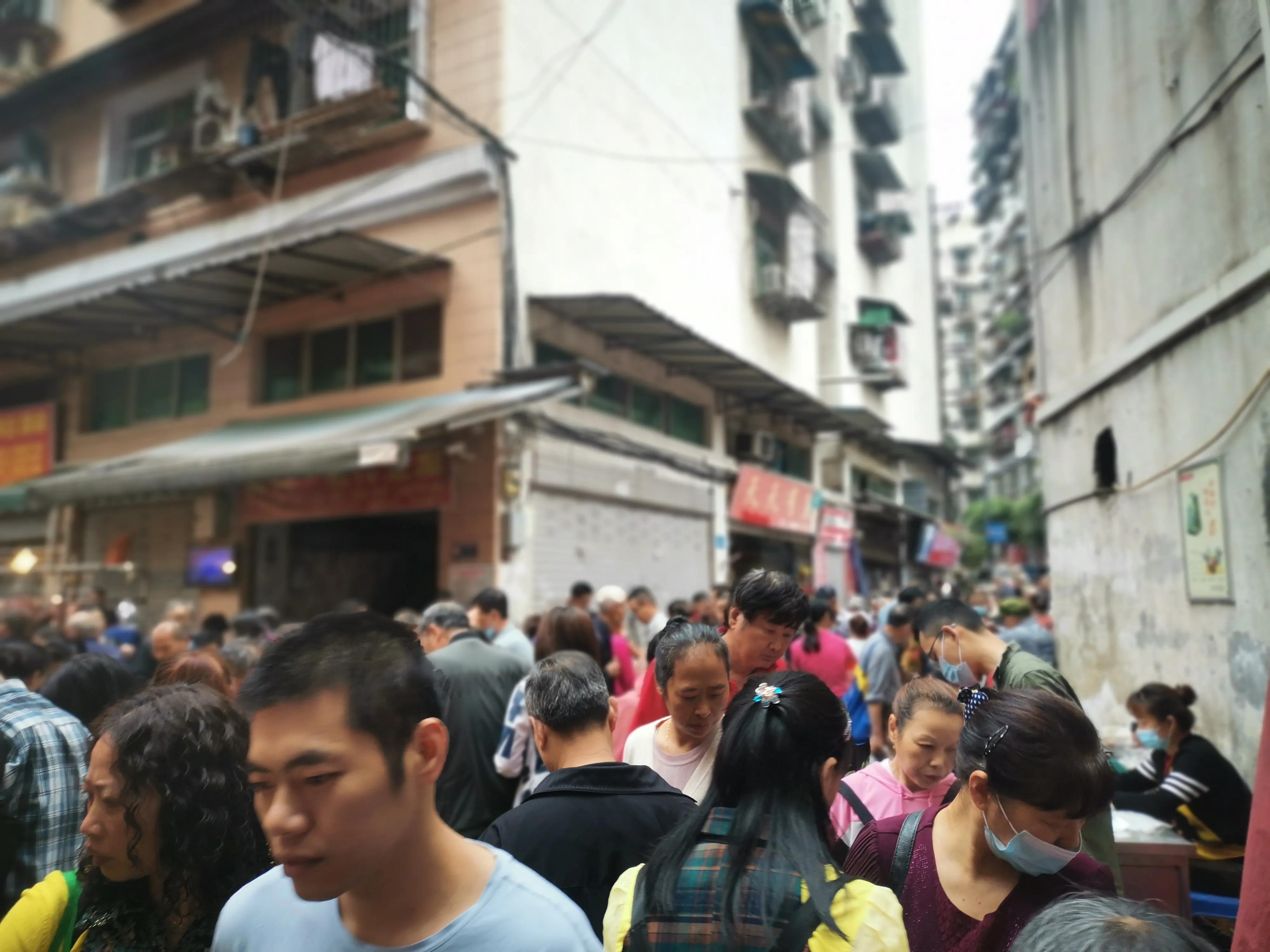 重庆狗儿市场有卖狗的吗,重庆狗儿市场