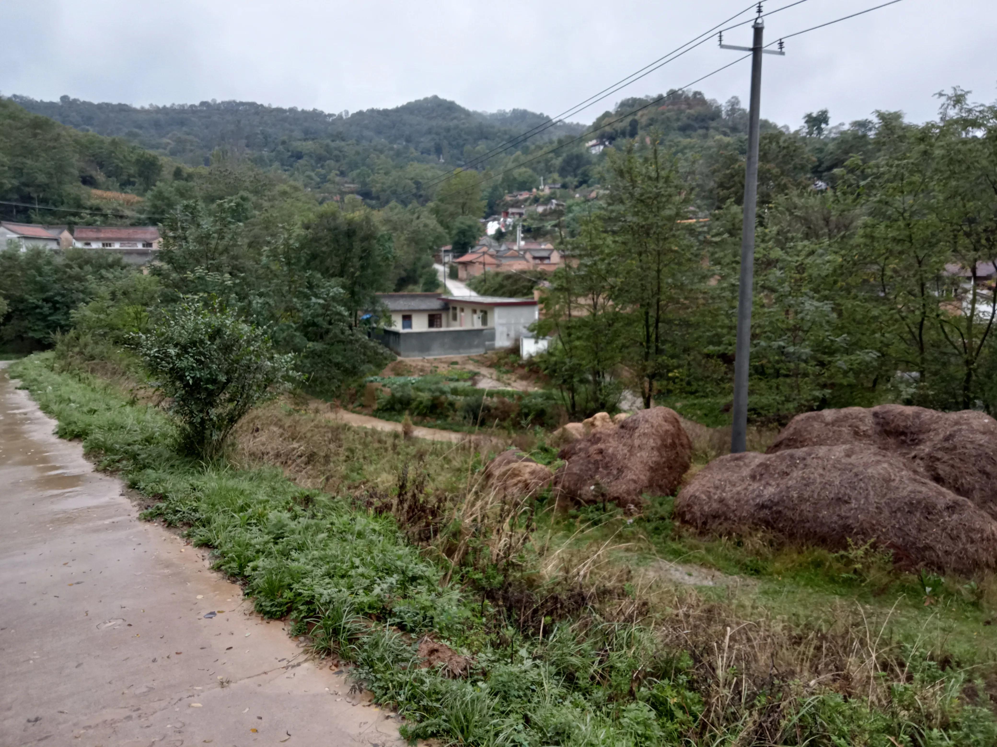 乡情散文/故乡的古井