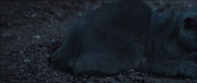 国产聊斋新电影,最新上映的电影聊斋