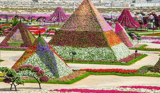 迪拜世界之最一共多少个城市,世界上最富有的城市是迪拜吗